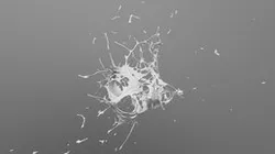 Splash