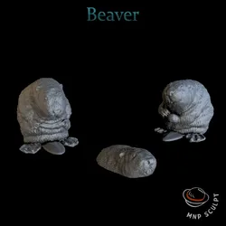Beaver
