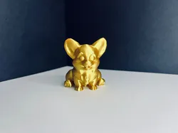 Dog-dog corgi dog