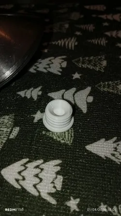 Temporary sealing plug for the fuel tank filler neck.