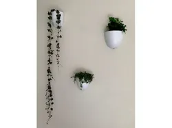 Wall Pot for Medium Command Hooks - Self-Watering Hanging Pot which is suitable for renters