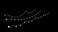 Fairy Lights