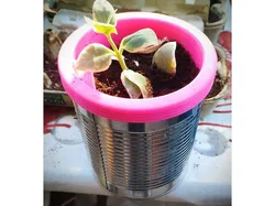 Flower pot can / Conserve