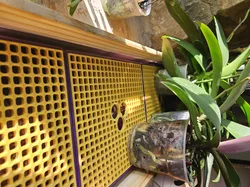 Humidity Tray (especially for orchids)
