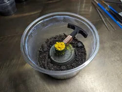 Slime mold feeder for slime-feeding springtails (16oz deli)