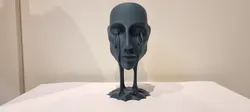 The face