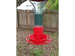 Wine Bottle Bird Feeder (remix)