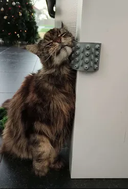 Scratch-A-Cat (can be filled with catnip!)