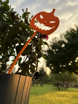 Halloween pumpkin with spider decoration