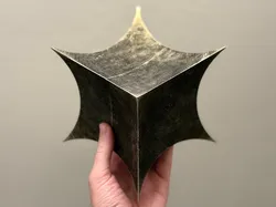 Hyperbolic Cube
