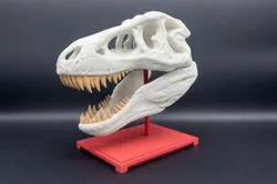 T-Rex Skull