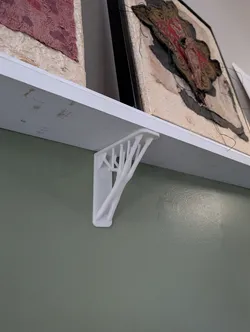 Topography Optimized Shelf Shell