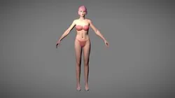 female base mesh Anatomy nude body woman