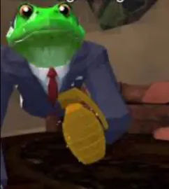 animal company frog ragdoll