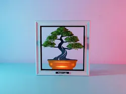 Bonsai Tree