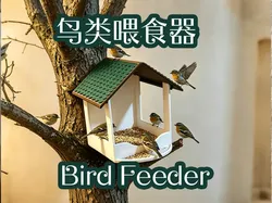 Comedero para pájaros - Modelo de impresión 3D gratuito