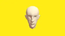 Head