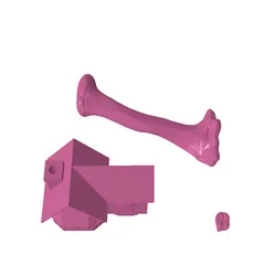 Tr