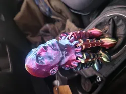 Dwane "The Roctopus" Johnson Gear Shifter Knob