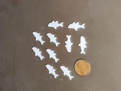 Tiny Sharks