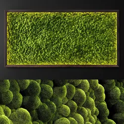 Moss wall 2 3D model