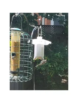 Nijer Seed Sock Bird Feeder