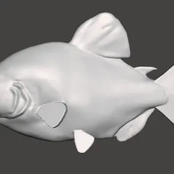 pacu