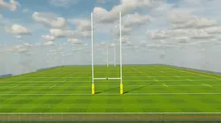 Rugby Pitch Low-poly 3D model