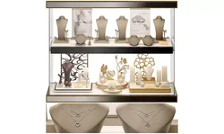 Stylish jewelry showcase 3D model