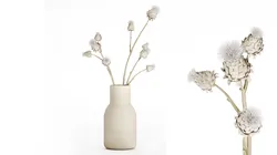 White bouquet dried flowers branches Thistle thorn 520