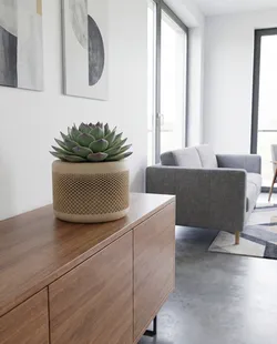 Andromeda Planter – Galaxy Series | Modern Mesh Design Pot