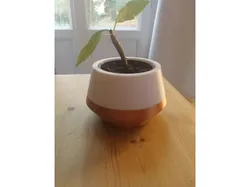 Cache pot - flower pot cover