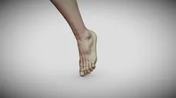 Male Foot 3