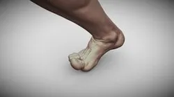 Male Foot 4