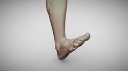 Male Foot 9