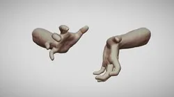 Male Hands 12