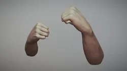 Male Hands 4