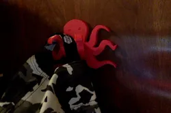 Octopus hook for anywhere in your house