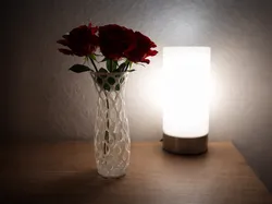 Organic Lattice Vase – Minimal Decor