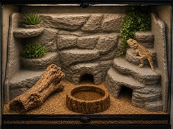 rock background 3D Models | STLFinder