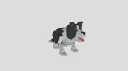 Border Collie