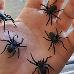 Free Other STL Download - spider prankby James2710