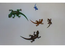 Gecko