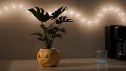Jack-O’-Lantern Pumpkin Planter – Halloween 3D Print