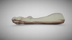 Male Foot 11