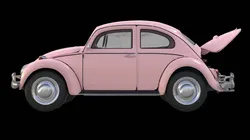 bettle