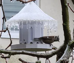 Birdfeeder XL