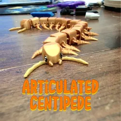 Cute Articulated Centipede