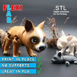 Cute Flexi Dog