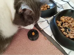 Dribbly-Cat Treat-Holder